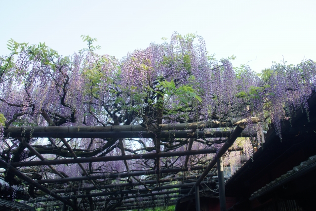 長岡天満宮の概要